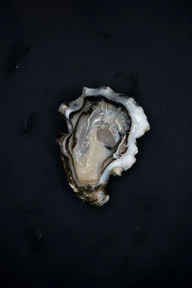 A single open oyster in its shell on a black surface.