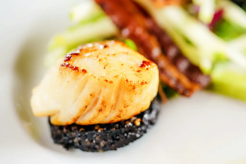 A seared scallop on a round of black pudding, with sliced apple and greens on a white plate.