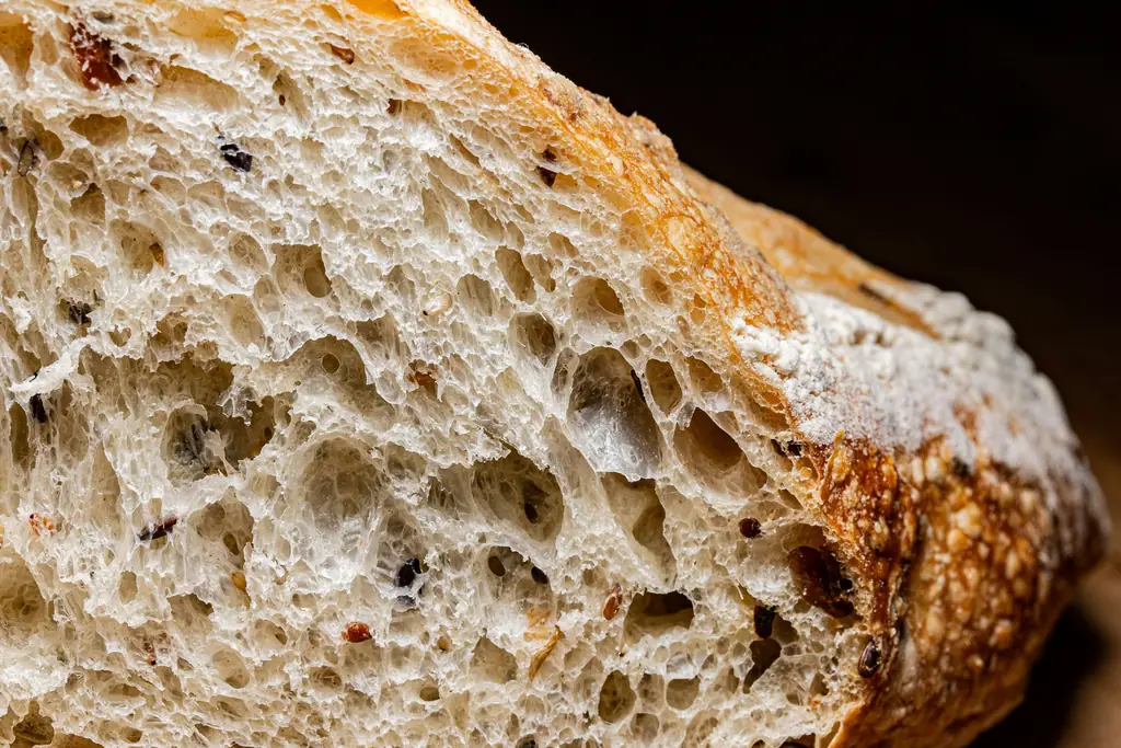 The open, airy crumb of a cut sourdough loaf, with a blistered crust at the edge.