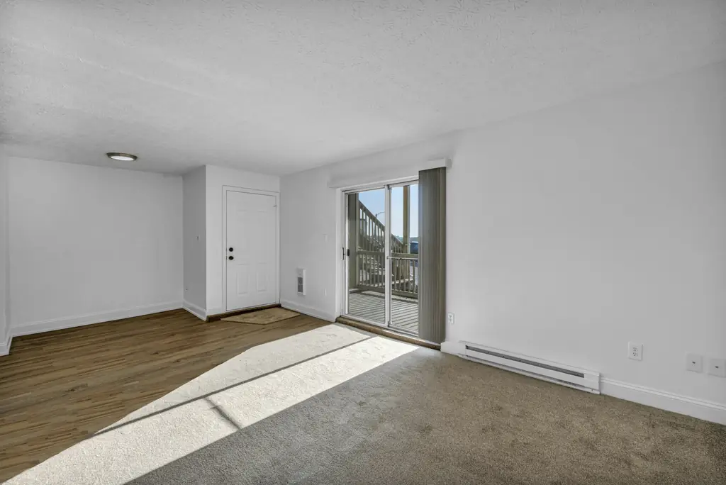 An empty flat after a clean: bare floors, white walls and afternoon sun across the carpet from a glass door.